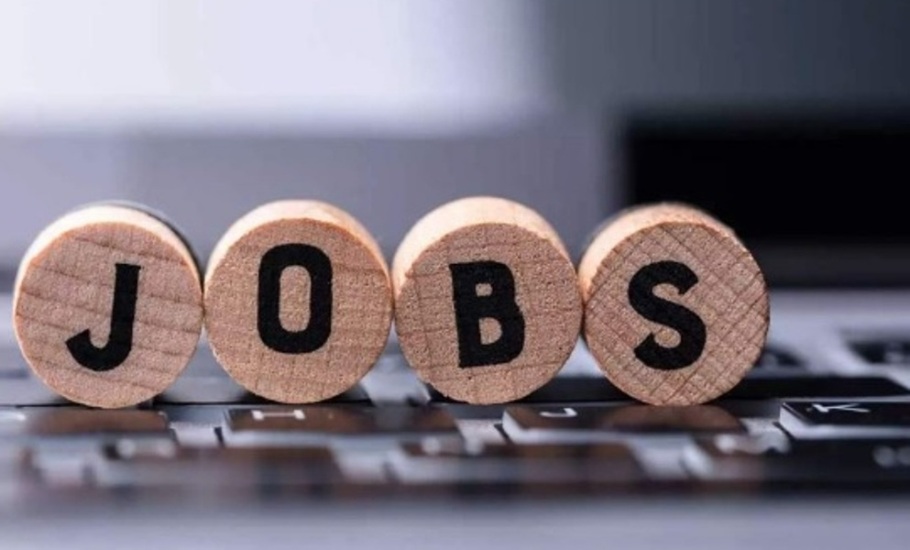 Job News: ड्राइवर के पदों पर बंपर पदों पर निकलेगी भर्ती; जानें खबर