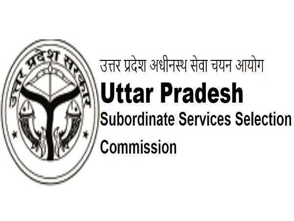 Job News: UPSSSC में 3831 पदों के लिए रजिस्ट्रेशन आज से शुरू:आयु सीमा अधिकतम 40 साल; जानिए खबर