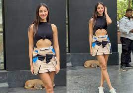 Bollywood News: क्रॉप टॉप में Ananya Panday ने फ्लॉन्ट की टोन्ड मिडरिफ; जानिए खबर