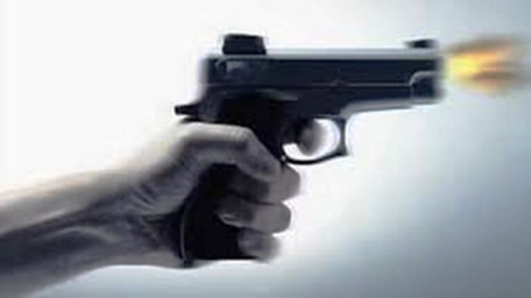 Crime News: गोली लगने से बेजुबान गाय की मौत, आरोपी फरार; जानिए खबर
