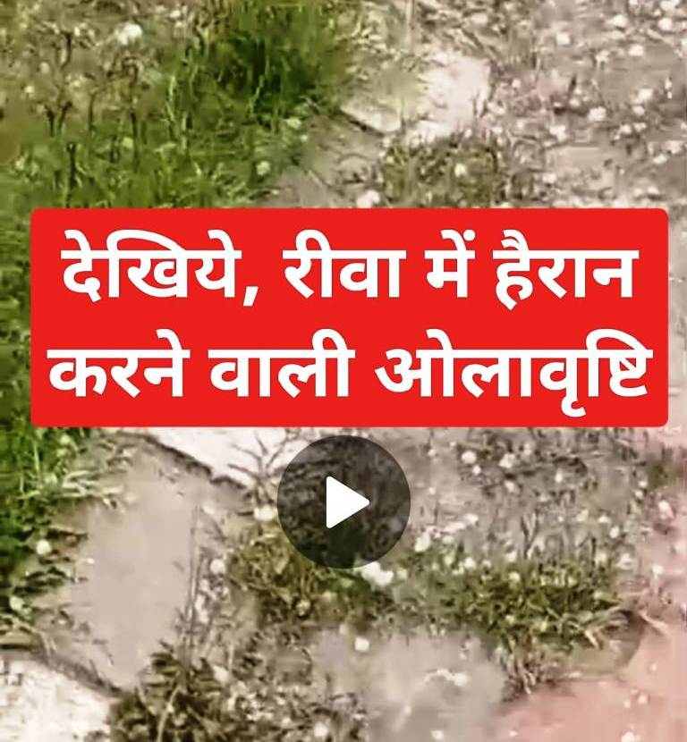 Weather News: रीवा में गोली जैसे आसमान से बरसे ओले; देखिये वीडियो