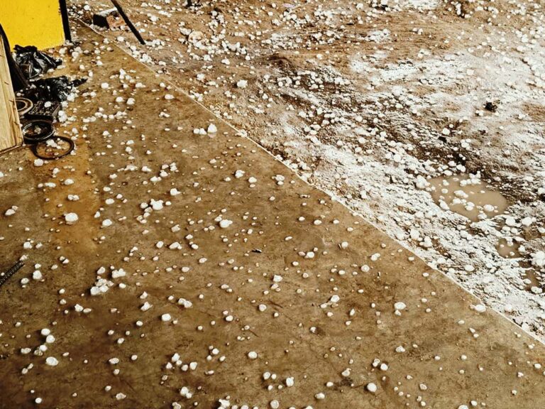 Singrauli breaking: सिंगरौली में गोली जैसे आसमान से बरसे ओले; जानिए खबर