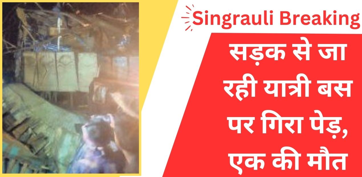 Singrauli Accident: भीषण आंधी बारिश दौरान पेड़ गिरा बस पर, एक की मौत व कई घायल; जानिए