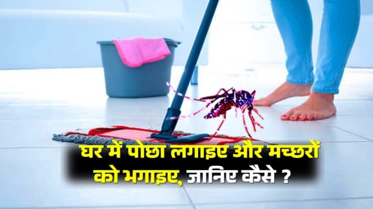 घर में पोछा लगाइए और मच्छरों को भगाइए, जानिए कैसे ?