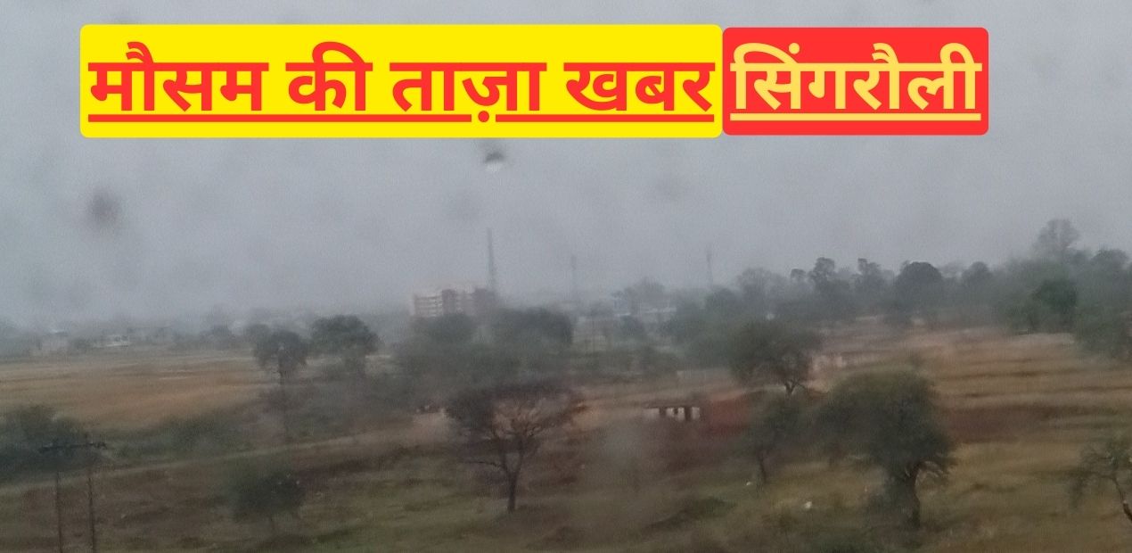 Singrauli breaking: सिंगरौली में खतरनाक तेज आंधी के साथ बारिश शुरू; जानिए