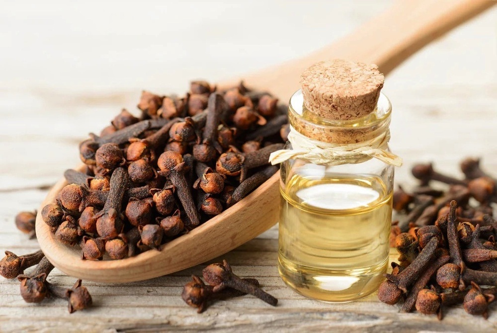 clove oil: लौंग तेल के आयुर्वेदिक गुण व इससे बालों के फायदे, जानिए