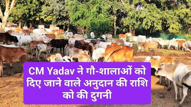 MP News: CM Yadav ने गौ-शालाओं को दिए जाने वाले अनुदान की राशि को की दुगनी; जानिए पूरी खबर