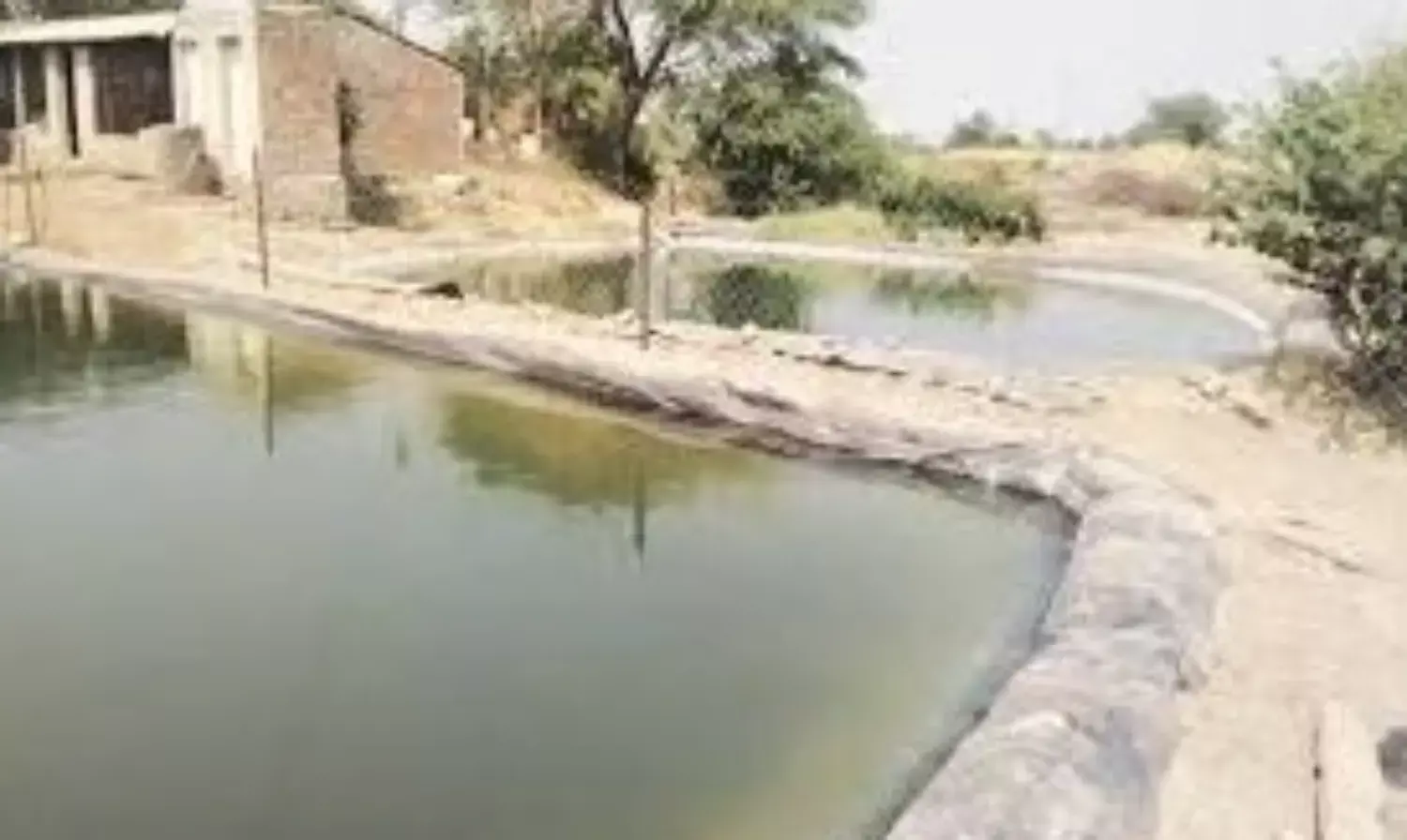 MP News: अलीराजपुर ज़िले से लेकर सिंगरौली तक जल गंगा संवर्धन अभियान के तहत नदियों एवं तालाबों में जीर्णोद्धार; जानिए 