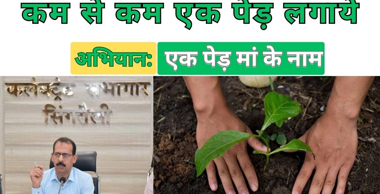 Singrauli News: कलेक्टर सिंगरौली ने कहा, कम से कम एक पेड़ लगाये; जानिए