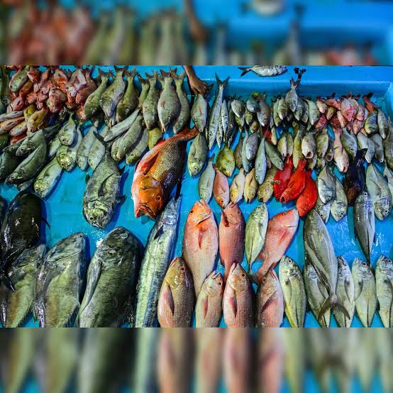 MP News: प्रदेश विभाग ने 6 माह में जानिए कितना मत्स्योत्पादन किया गया?