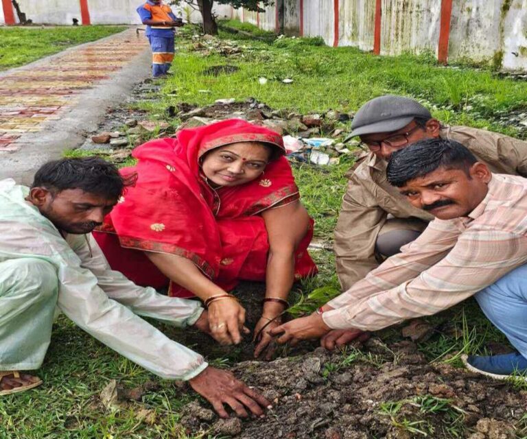 Singrauli News: सामुदायिक भवन नवानगर में एमआईसी मेम्बर के नेतृत्व में 51 पौधे रोपित किए गए; जानिए 