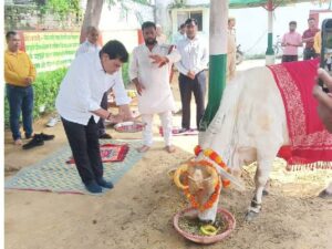 UP News: नगर विकास मंत्री एके शर्मा ने किया कान्हा गौशाला का निरीक्षण; जानिए