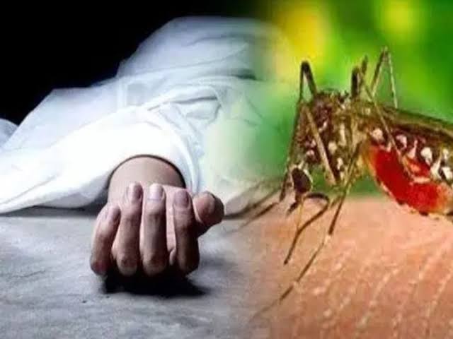 Dengue News: डेंगू से बुधवार को इस सीजन की दूसरी मौत; जानिए 