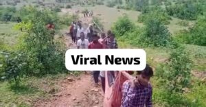 Viral News: सर्पदंश पीड़ित महिला को एम्बुलेंस नहीं मिली तो लकड़ी पर टांग कर ले जा रहे थे रास्ते मे हुई मौत; जानिए