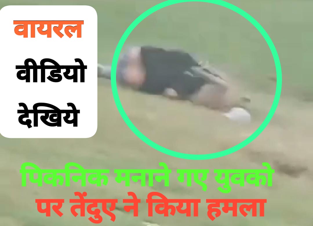 Viral Video: पिकनिक मनाने गए युवकों पर तेंदुआ ने किया हमला; देखिये वायरल वीडियो