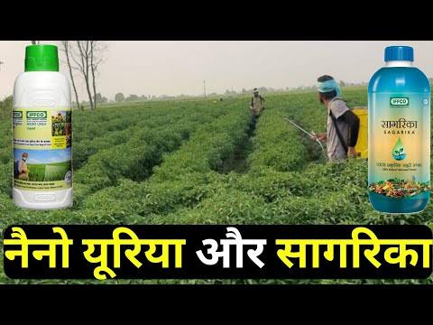 MP News: किसानों को सलाह इफको प्रोडेक्ट नैनो यूरिया एवं सागरिका का करें उपयोग; जानिए खबर