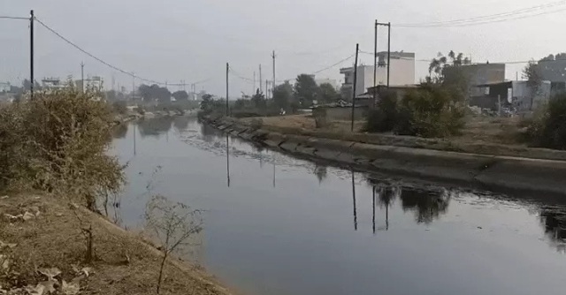 Rewa news: नहर किनारे पार्टी करने गए दो युवक डूबे, मिले शव; जानिए