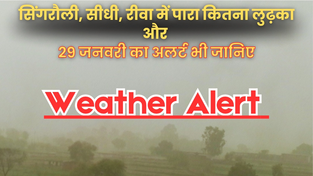 Weather News: MP में फिर ठंड का कहर, रविवार-सोमवार की रात इन शहरों में सर्वाधिक लुढ़का पारा; जानिए