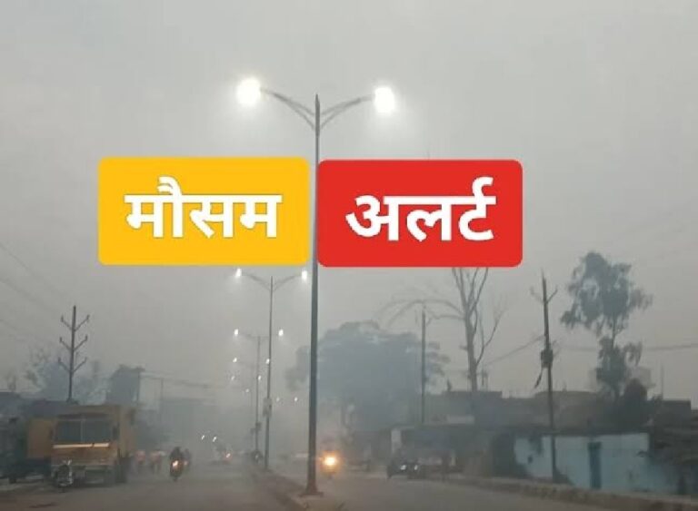 Weather Changes: सर्दी की मार से हो सकती हैं समस्याएं; जानिए उपाय भी