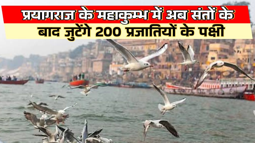 MahaKumbh 2025: महाकुंभ में 200 प्रजातियों के पक्षियों का संगम महोत्सव होगा; जानिए