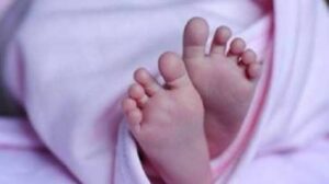 MP News: नए बस स्टैंड में नवजात का शव मिलने से पुलिस हुई सक्रिय; जानिए खबर