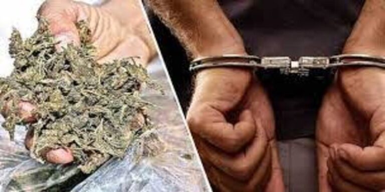 MP News: 8 लाख 46 हजार की गांजा तस्करी के खिलाफ सीधी पुलिस की बड़ी कार्यवाही; जानिए खबर 