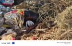 Singrauli News: सिंगरौली के जिला मुख्यालय में अज्ञात महिला की लाश नाले में तैरती मिली, मचा हड़कंप