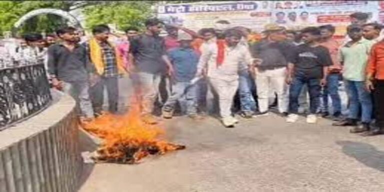 Sidhi News: कांचा जंगल में आईटी पार्क निर्माण के लिए हो रही पेड़ों की कटाई और वन्यजीवों की हत्या के विरोध में शिवसेना का प्रदर्शन; जानिए खबर में 