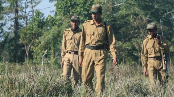 Job News: फॉरेस्ट डिपार्टमेंट में रेंज ऑफिसर के पदों पर निकली भर्ती; जानें खबर 