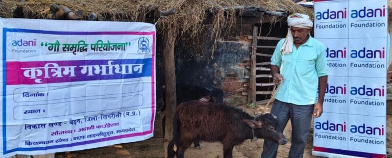 Singrauli News: अदाणी फाउंडेशन के सहयोग से पशुपालन बना आजीविका का सशक्त माध्यम; जानिए
