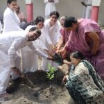 Singrauli News: पौधारोपण कर लिया पर्यावरण संरक्षण का संकल्प; जानिए