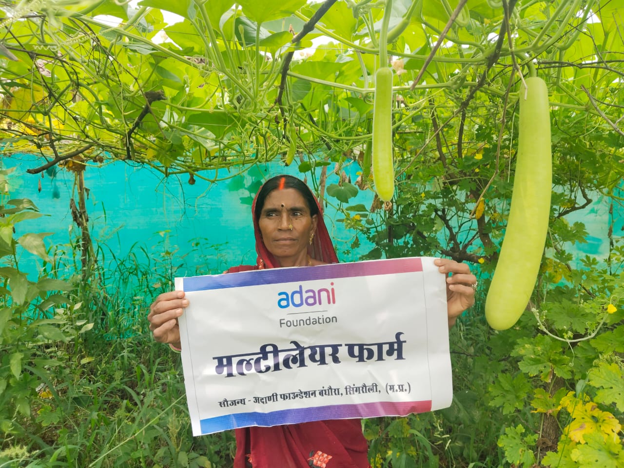 Singrauli News: ग्रामीण विकास की नई तस्वीर गढ़ रहा अदाणी फाउंडेशन का सामाजिक सरोकार, सिंगरौली के गांवों में बदलाव की नई कहानी